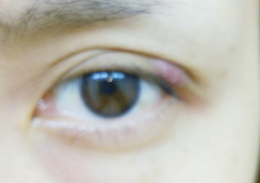 DSC_1084~2_1.jpg