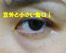 DSC_1087_1.jpg